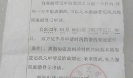 离婚协议电视剧,情感纠葛下的婚姻抉择