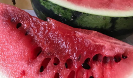 51cg1吃瓜爆料,揭秘娱乐圈最新吃瓜事件